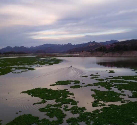 Beatiful view from the shore Mateos Lake 1