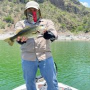 Great bass catch at Lake Zimapan