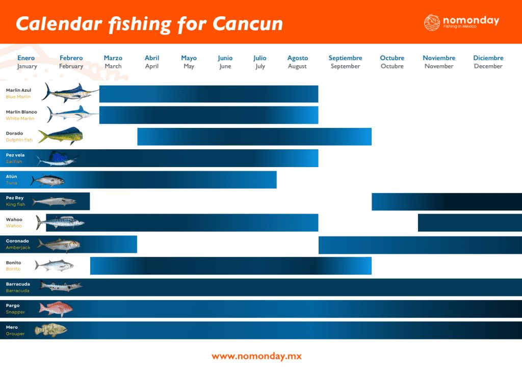 Calendar Fishing season for Cancun
